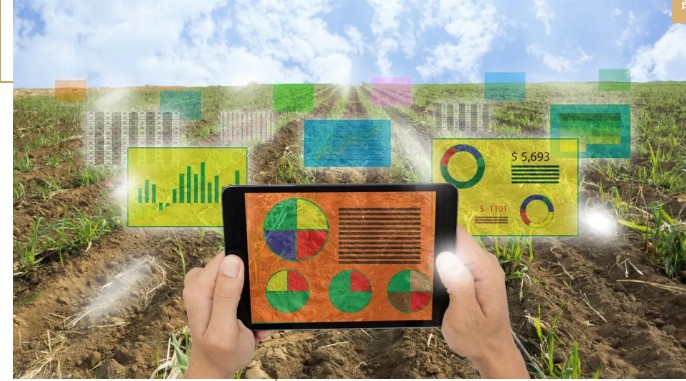 馬云說(shuō)“致富未來(lái)在農(nóng)村”,那么農(nóng)村未來(lái)的致富人群是哪類人？