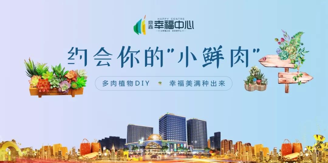 約會你的“小鮮肉” 多肉植物DIY，幸福美滿種出來