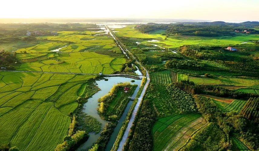 鄉(xiāng)村振興背景下，有機(jī)農(nóng)業(yè)3.0時(shí)代的思考