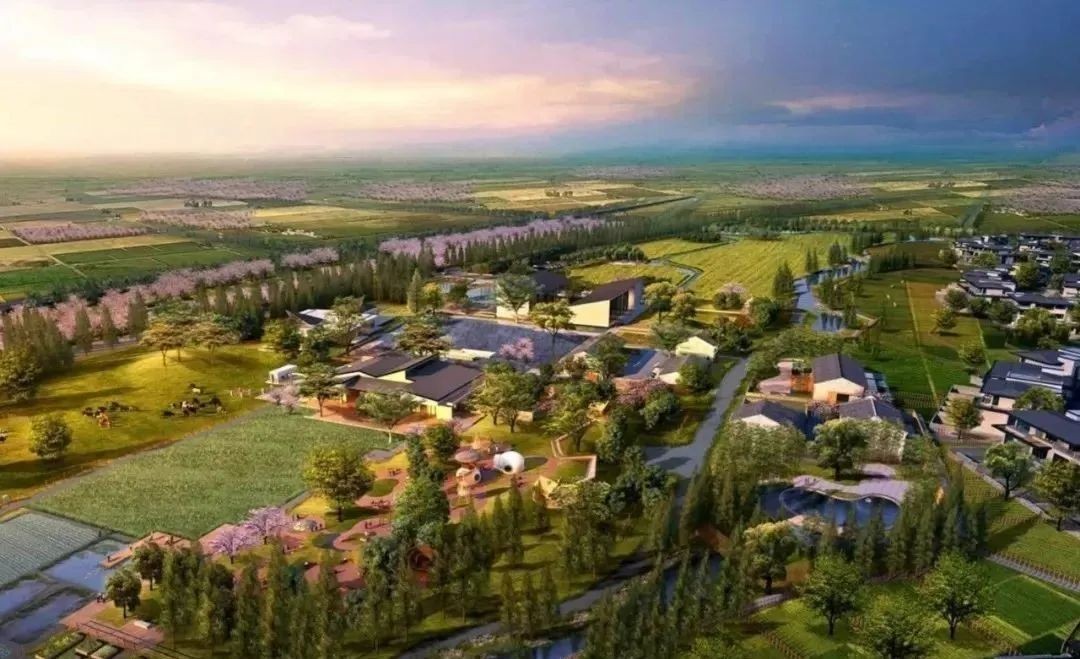 全文！鄉(xiāng)村建設(shè)行動實施方案